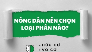 So sánh phân hữu cơ – phân vô cơ – phân sinh học : Nông dân nên chọn loại nào?