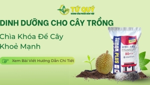 Dinh Dưỡng Cho Cây Trồng: Chìa Khóa Để Cây Lớn Lên Khoẻ Mạnh