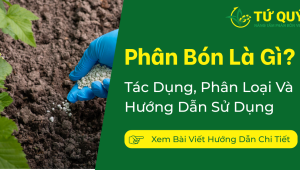 Phân Bón Là Gì? Tác Dụng, Phân Loại Và Hướng Dẫn Sử Dụng Phân Bón Hiệu Quả Cho Cây Trồng