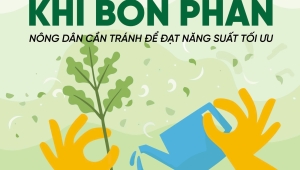 Các Sai Lầm Khi Bón Phân – Nông Dân Cần Tránh Để Đạt Năng Suất Tối Ưu