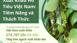 Xuất Khẩu Hồ Tiêu Việt Nam: Tiềm Năng và Thách Thức