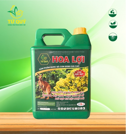 Hoa Lợi Mai