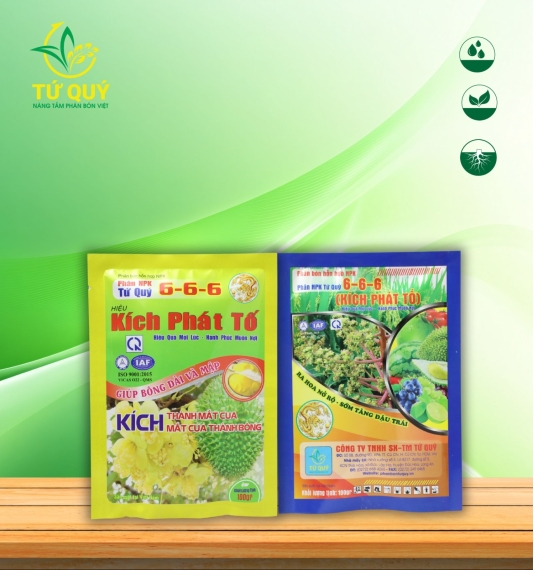 Kích Phát Tố