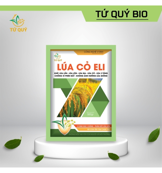 Lúa Cỏ Eli