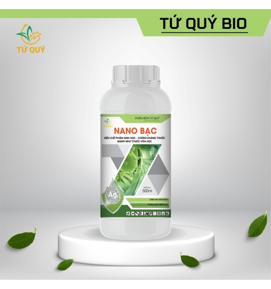 Nano Bạc