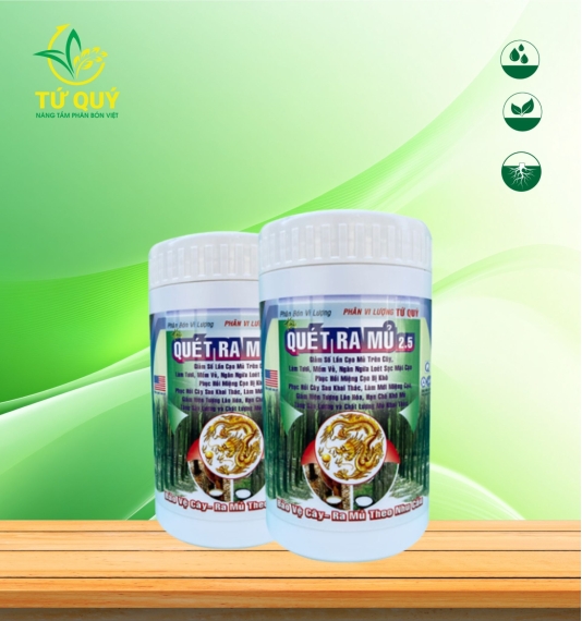 Quét Ra Mủ 2.5