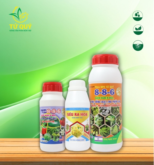 Ra Hoa 8-8-6