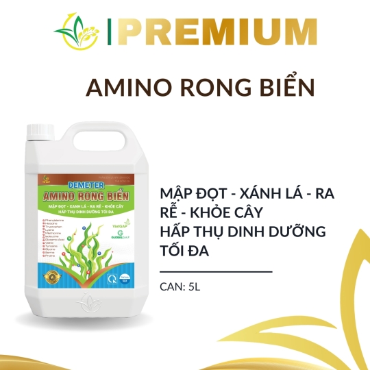Demeter Amino Rong Biển