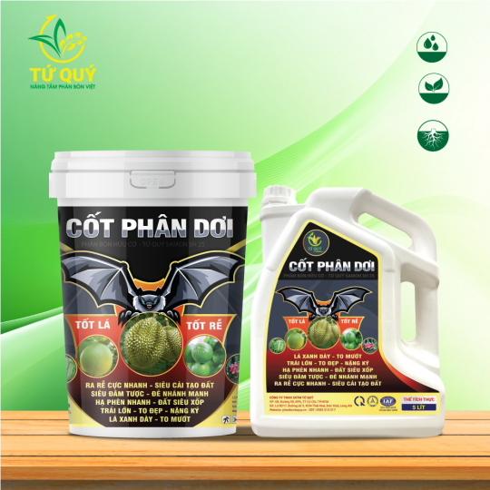 CỐT PHÂN DƠI