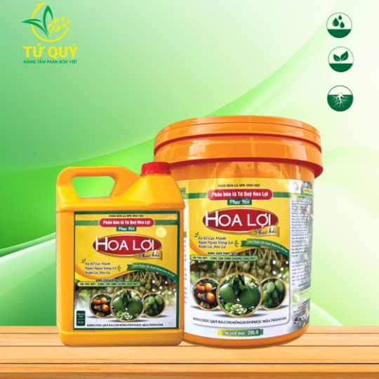 Hoa Lợi Phục Hồi