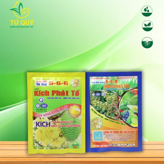 Kích Phát Tố