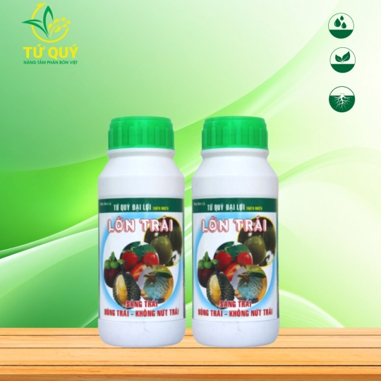 Lớn Trái (Các Loại Cây)