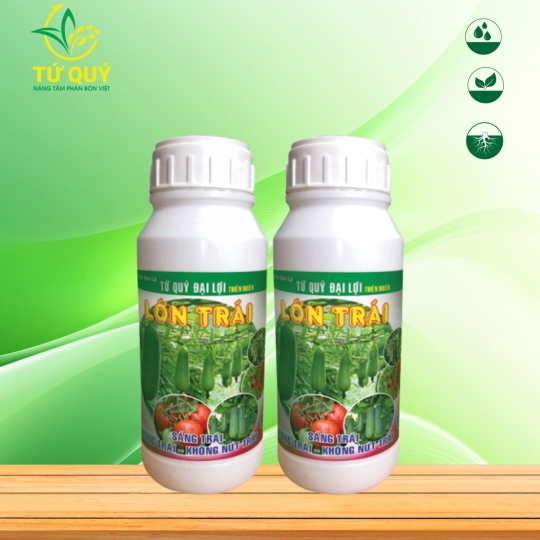 Lớn Trái (Các loại rau màu)
