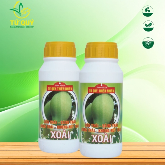 Lớn Trái (Xoài)
